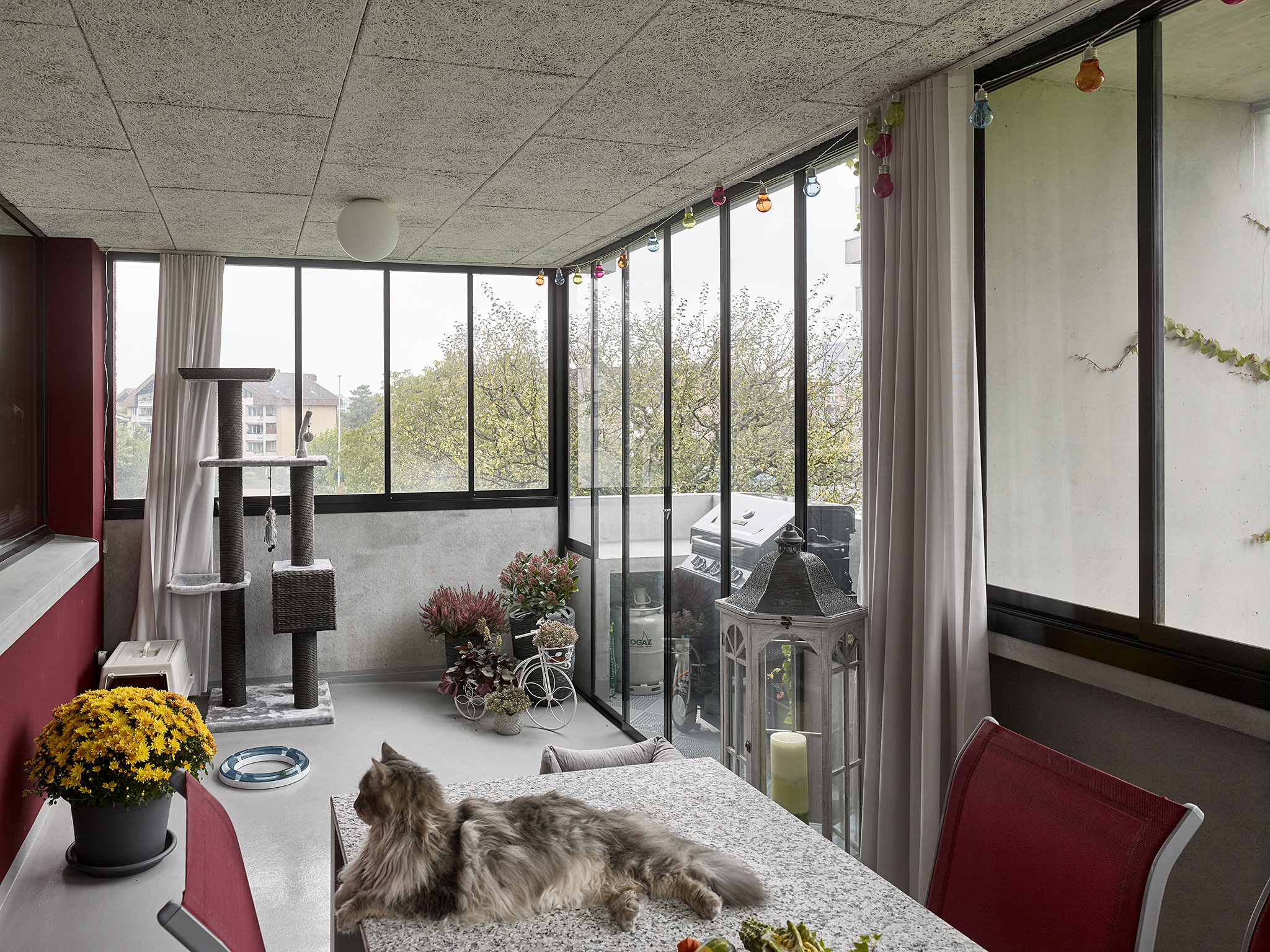 Wohnhäuser Berchtwilerstrasse